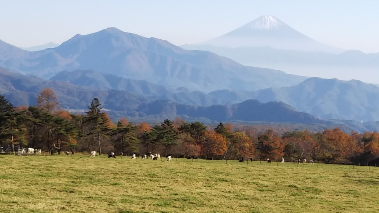 山梨県立まきば公園 第２駐車場からの風景