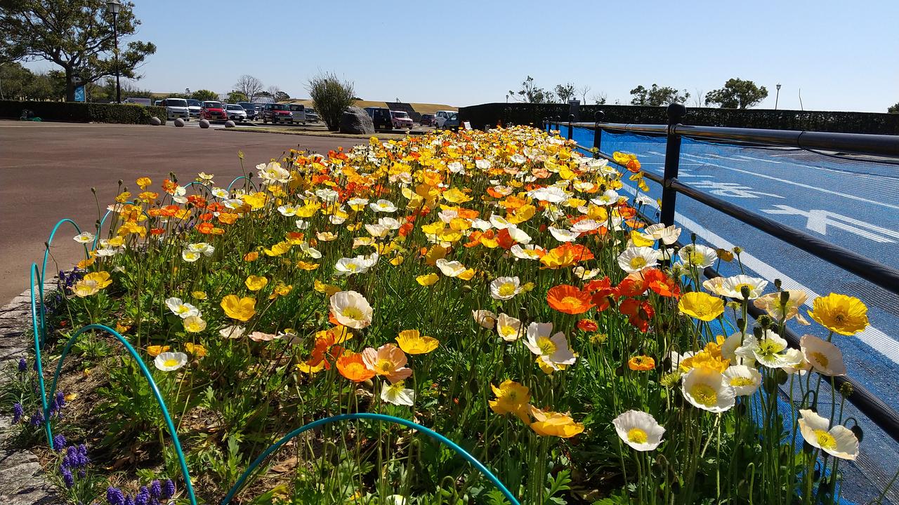 静岡県立吉田公園