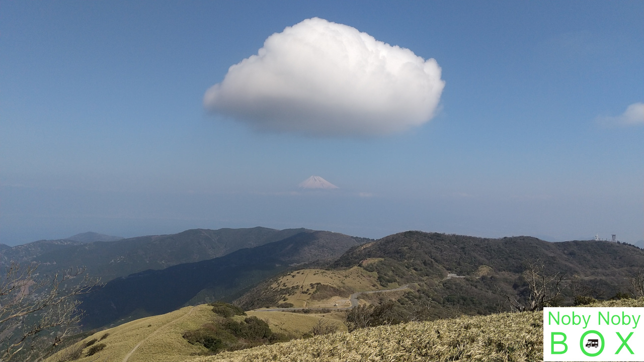 達磨山登山道中腹から