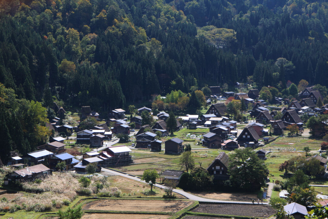 合掌造りの白川郷集落