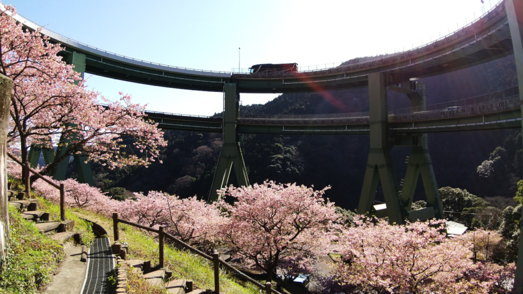 ループ橋土手を少し登ったところ１