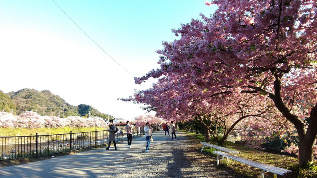 足湯隣の休憩所から豊泉橋をねらって