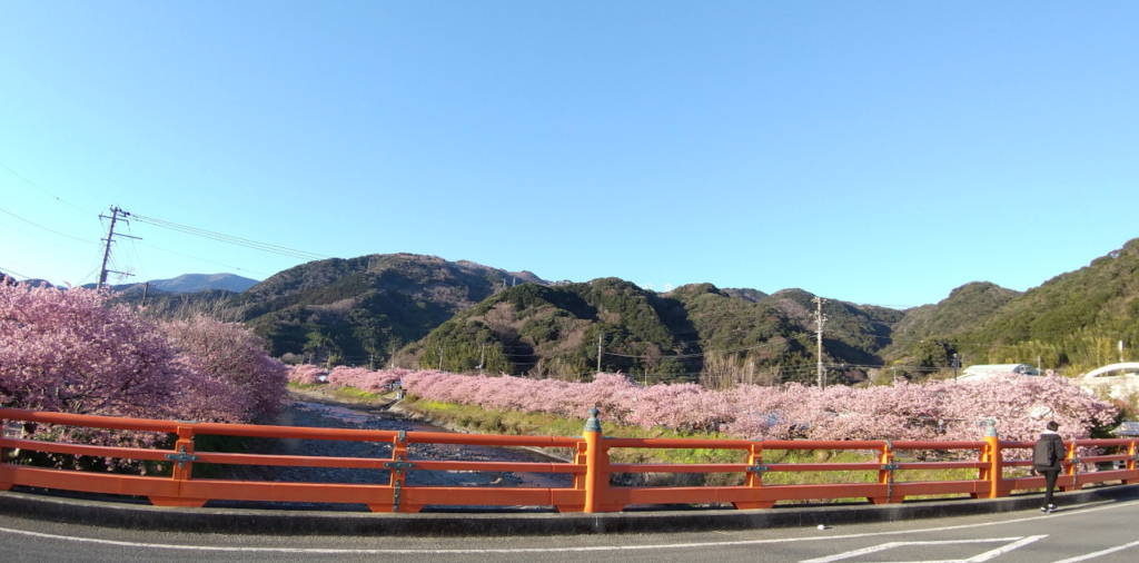 豊泉橋から振り返って