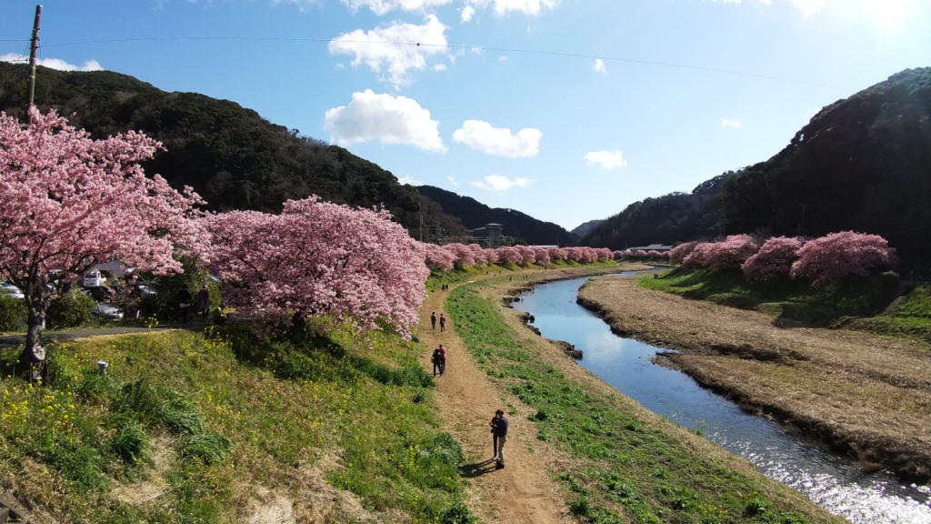 「来の宮橋」の上から下流を見て