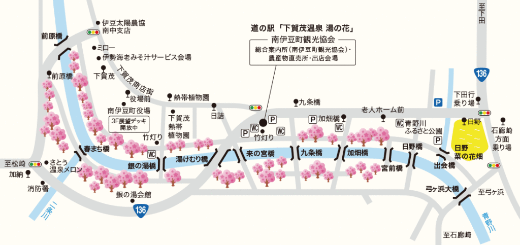 みなみの桜と菜の花まつりMAP