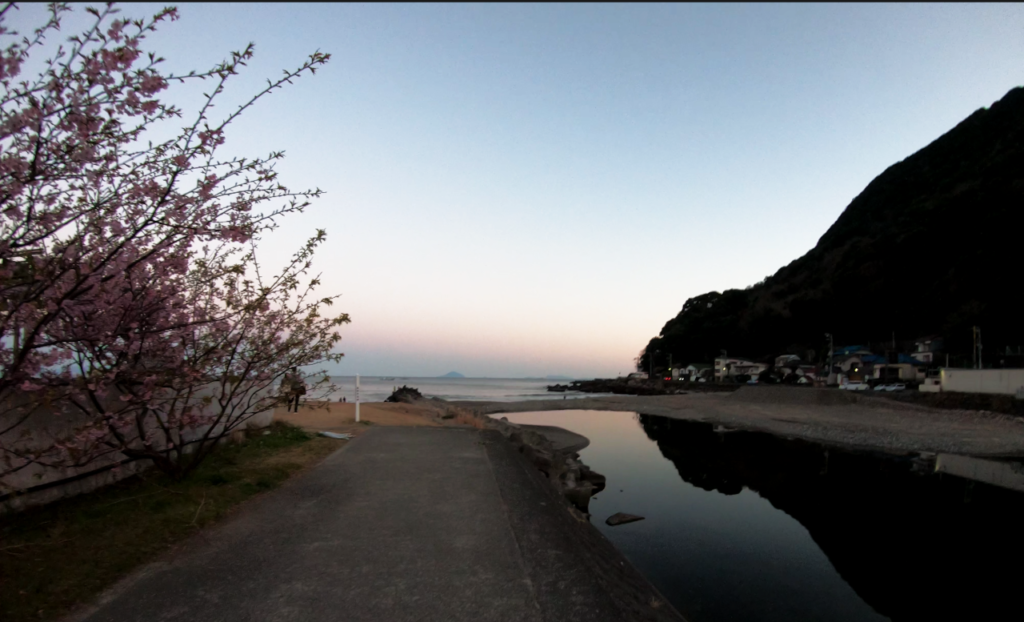 河口付近海とサクラ
