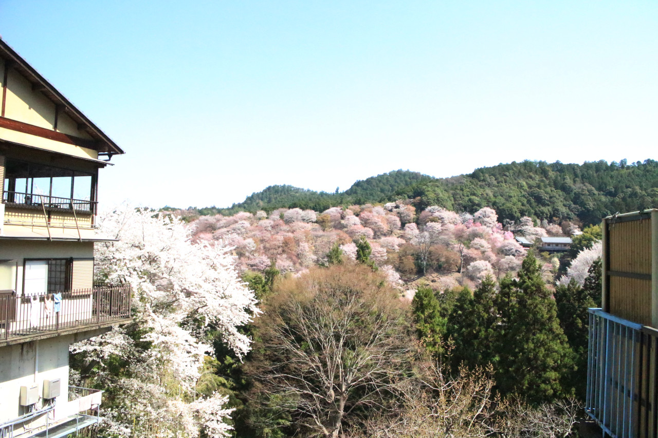 勝手神社先の風景