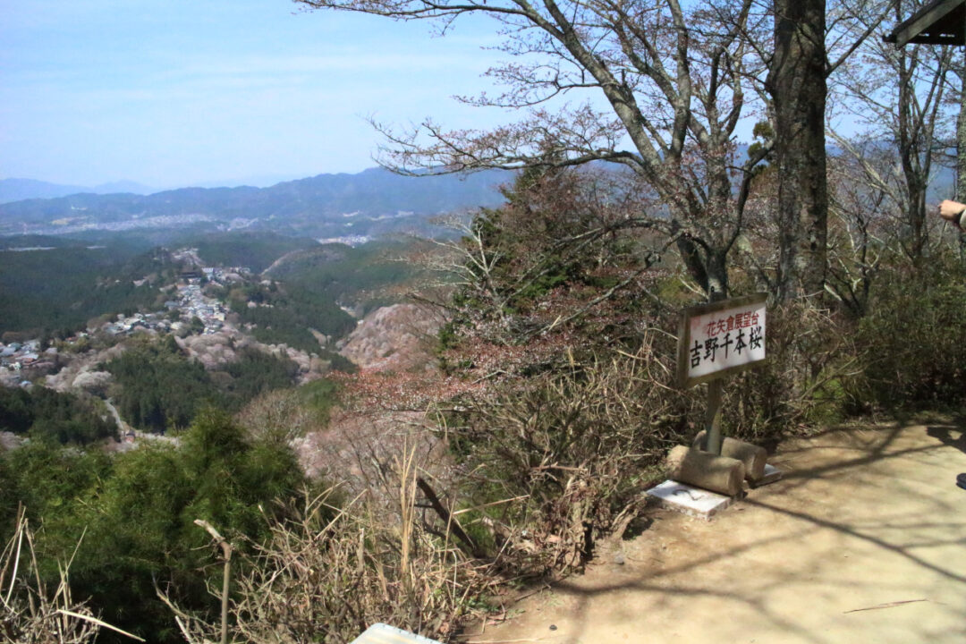 花矢倉展望台から写真