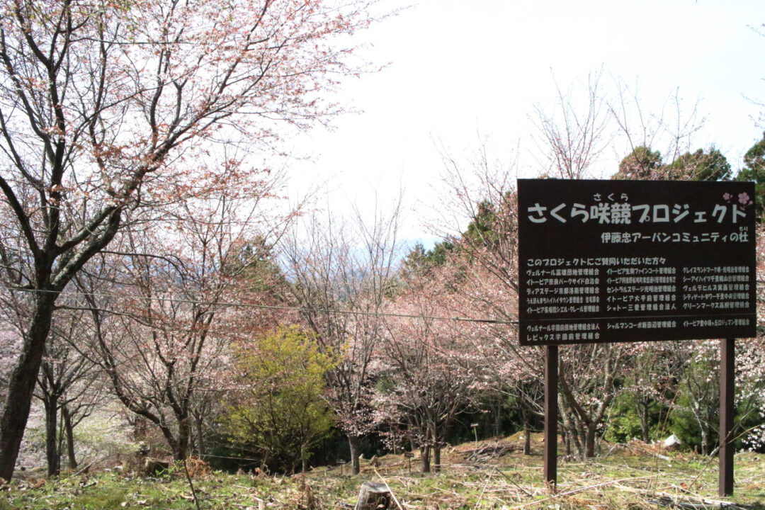 日拝地蔵手前の風景