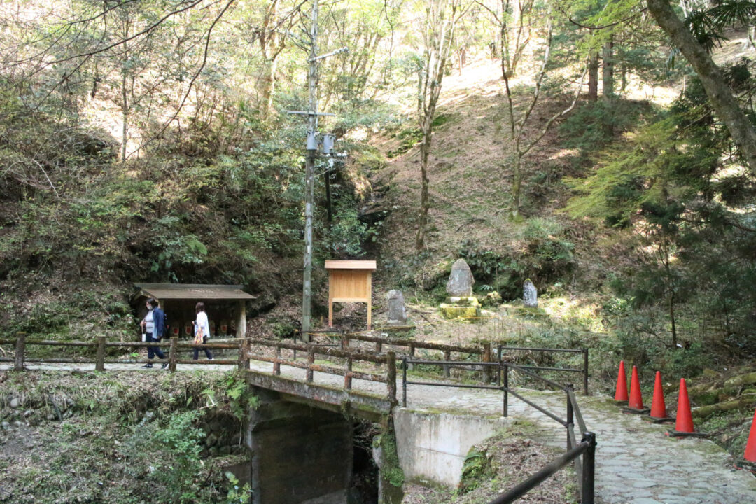 沢の道の写真