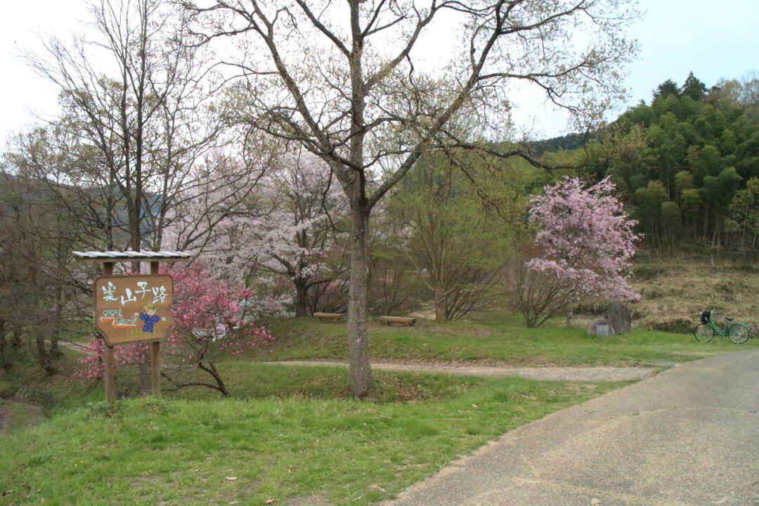 棚田を見下ろす公園