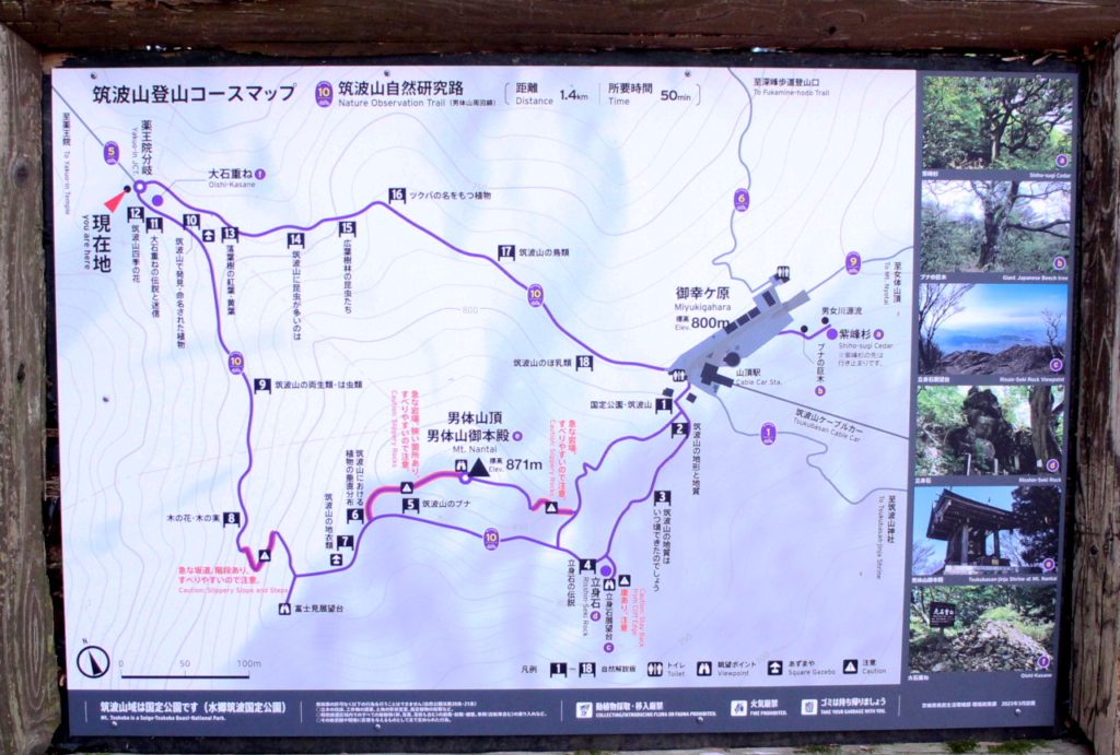 筑波山自然研究路MAP