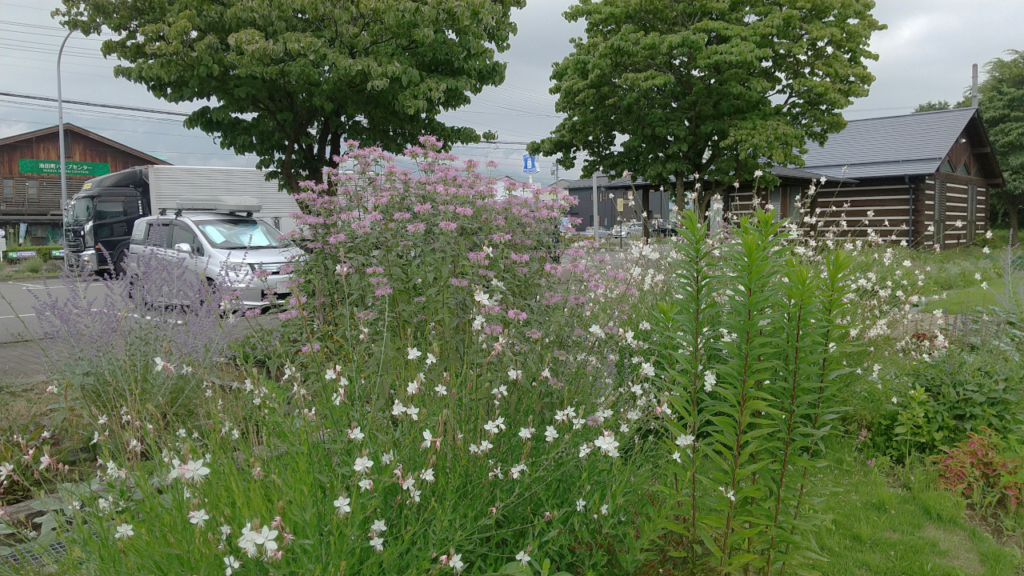 池田町ハーブガーデン