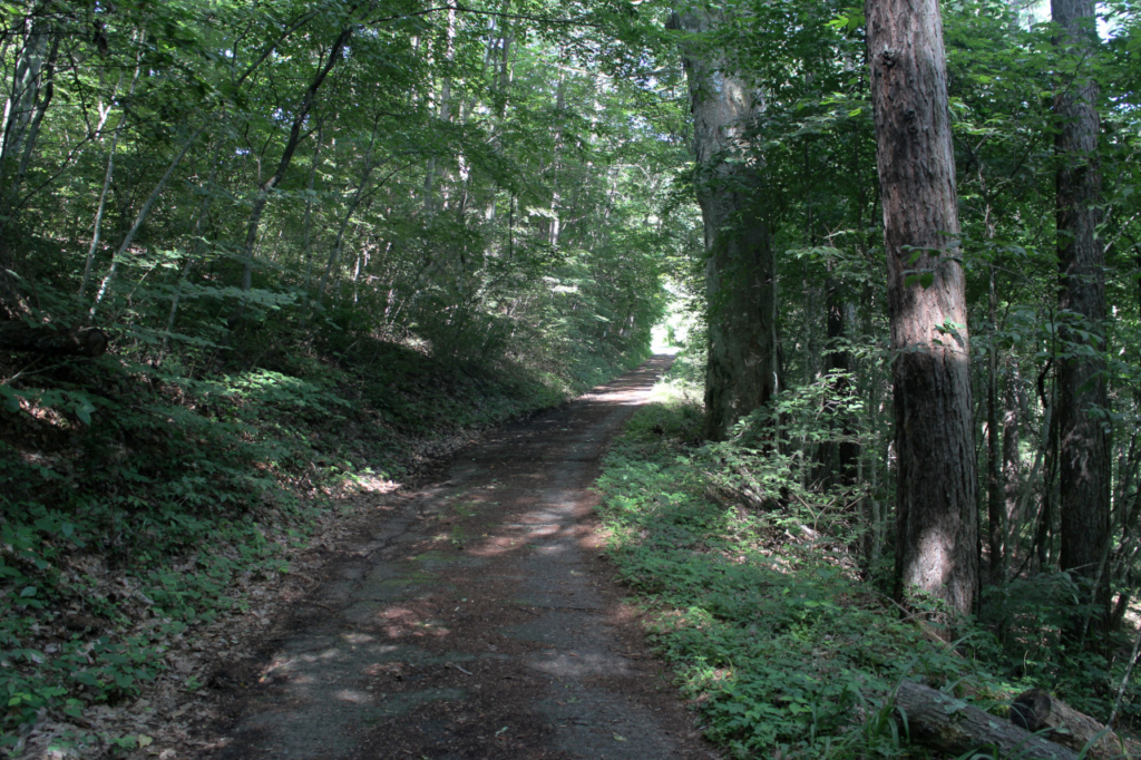 ハイキング道