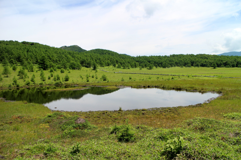 鏡池