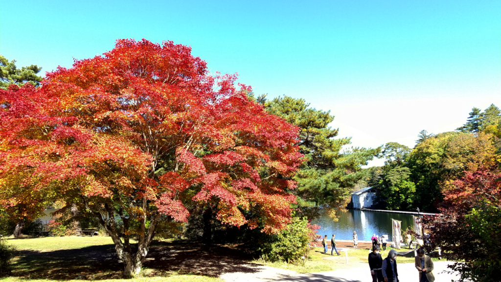 松原湖の紅葉