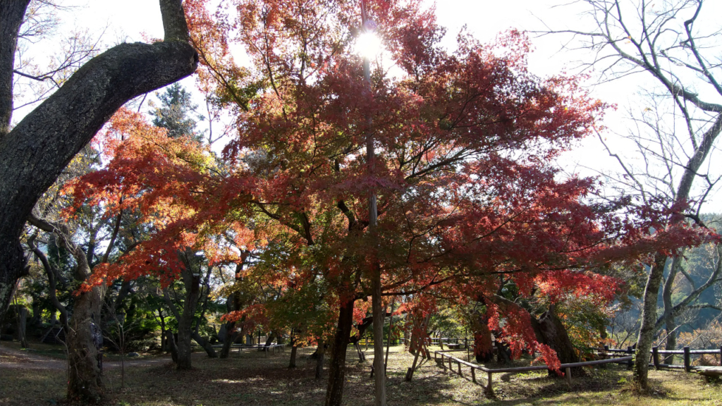 高遠城址公園