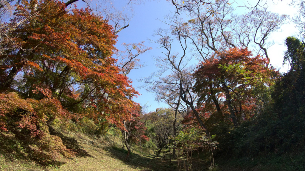 高遠城址公園南門横