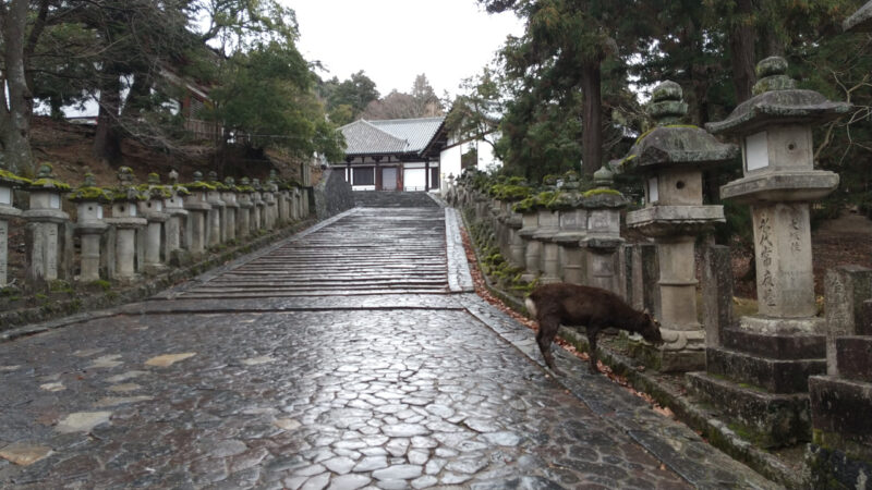 参道としか