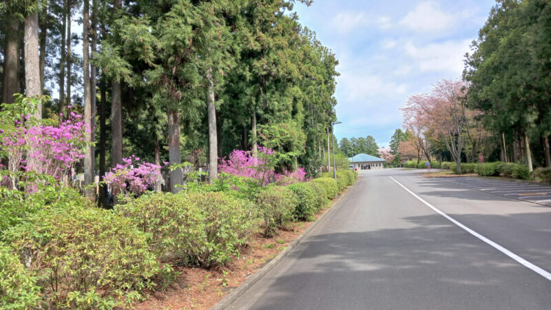 三師塔に向かう路