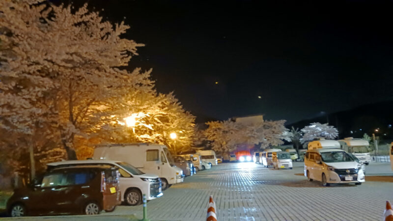 道の駅 信州蔦木宿の桜ライトアップ