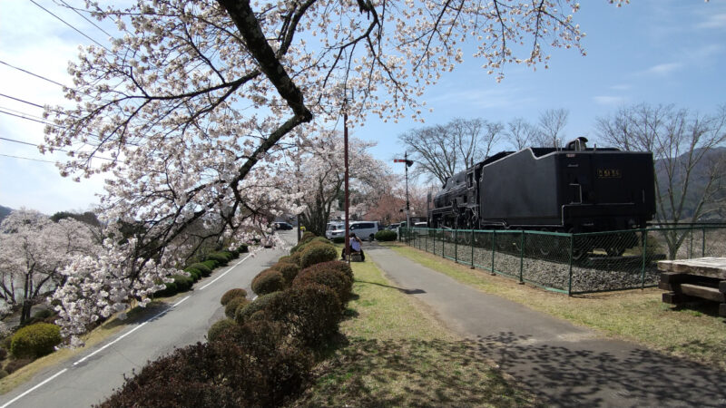 桜とデコイチ