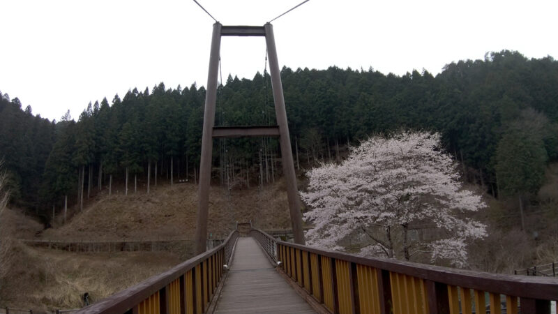 大井平公園風の吊橋