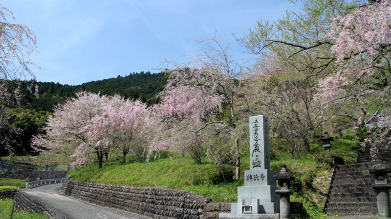 興徳寺