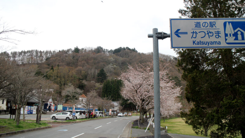 道の駅かつやま