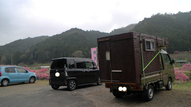 愛車としだれ花桃