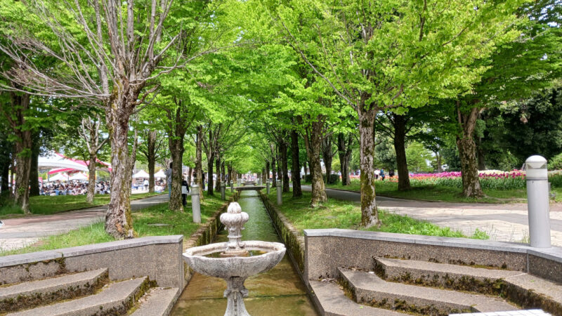 東門正面の水路