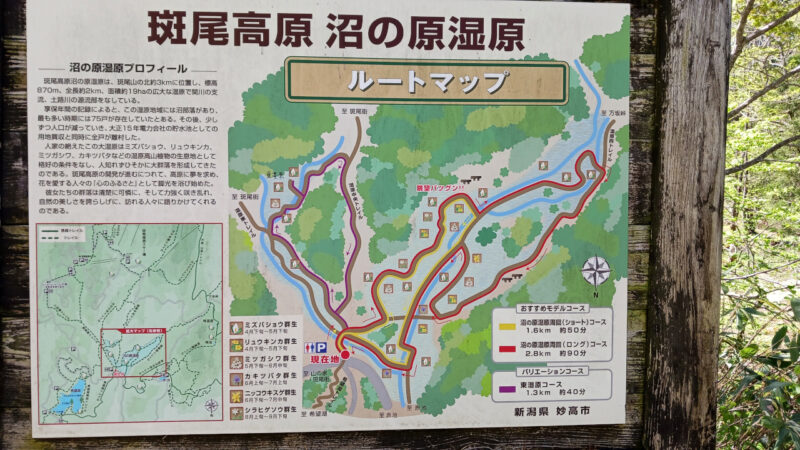 沼の原湿原Map