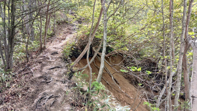 登山道