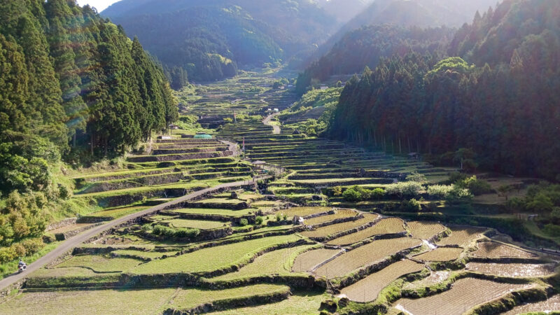 四谷の千枚田前道路からの遠景