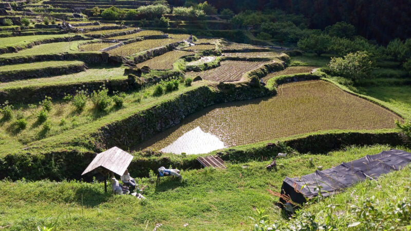 入口近くの案山子たち