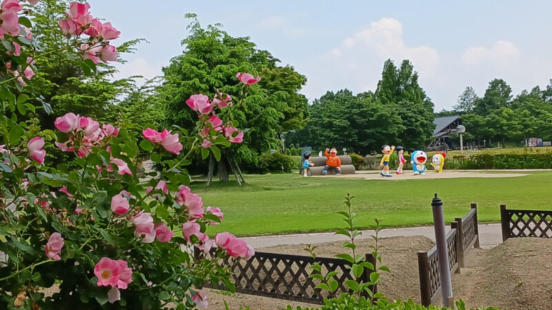 高岡おとぎの森公園内バラ園