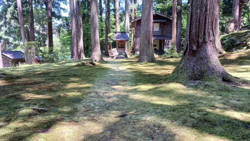 苔の原