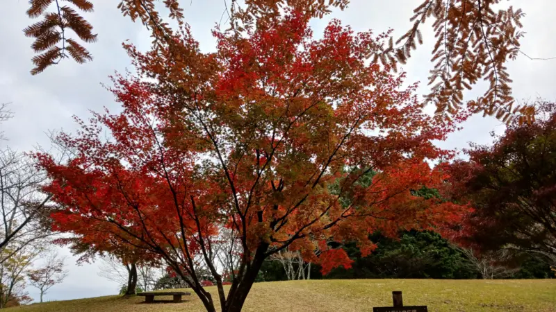 いこいの広場