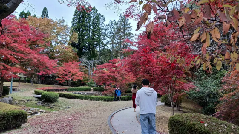 曽木公園