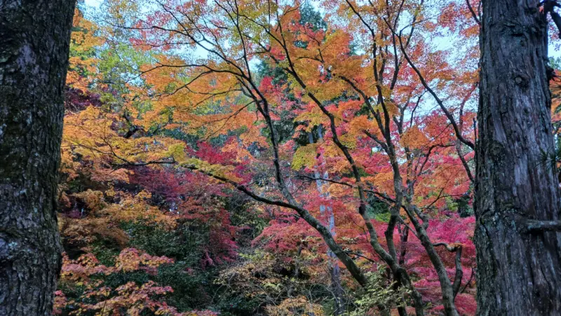 曽木公園