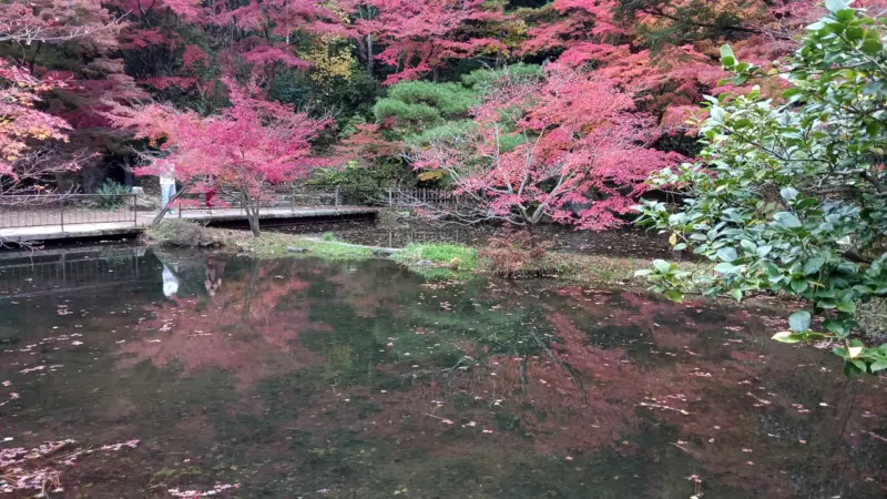 曽木公園