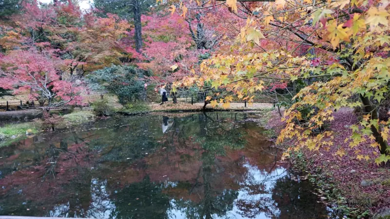 曽木公園