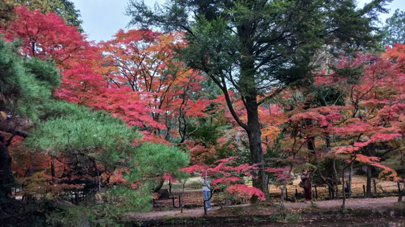 曽木公園