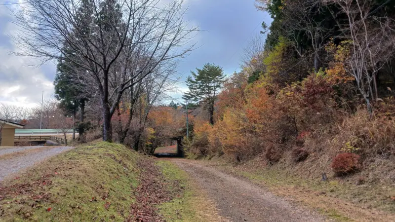 面の木ピット左から茶臼山高原道路をくぐって