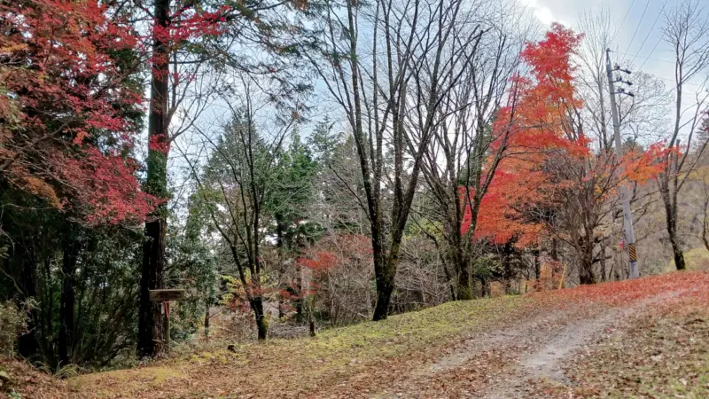 面ノ木園地へ降りる道