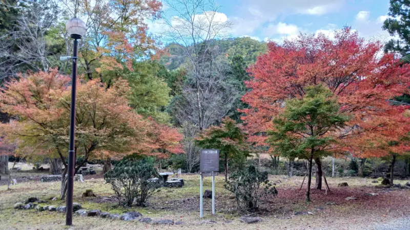 県民の森の紅葉