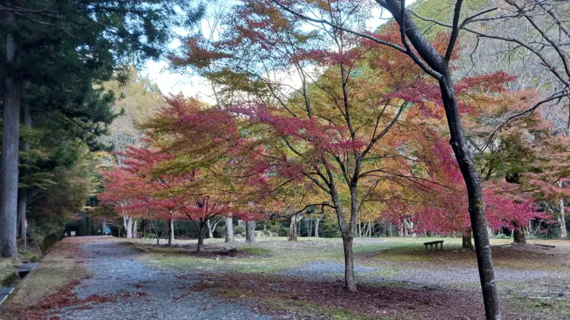 明治百年記念公園