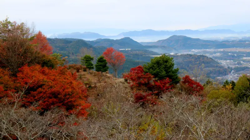 展望台から