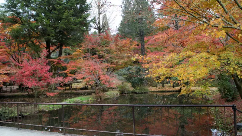 曽木公園