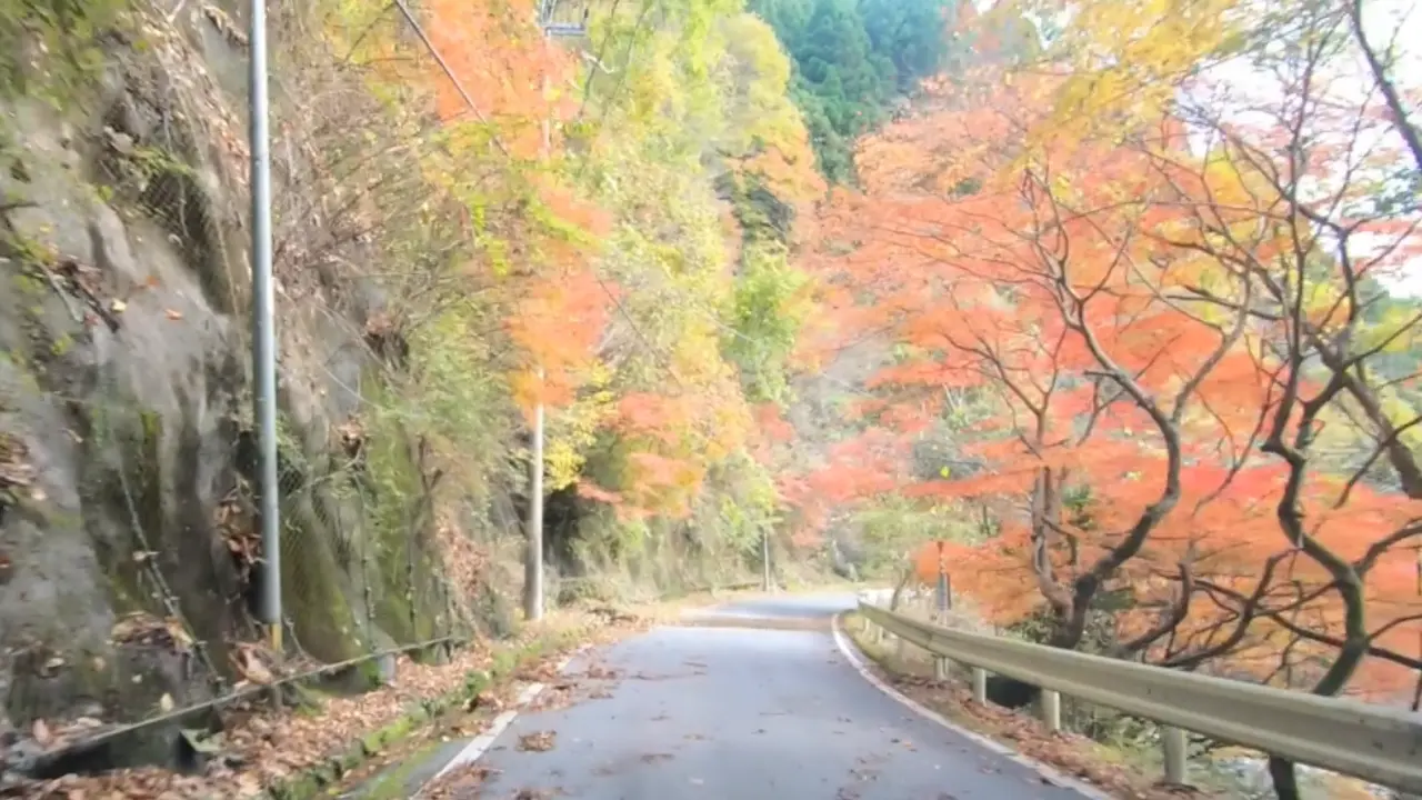 紅葉ドライブ愛知県道３３号